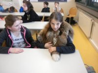 2019-02-14 Vortrag Herta Reich Gym